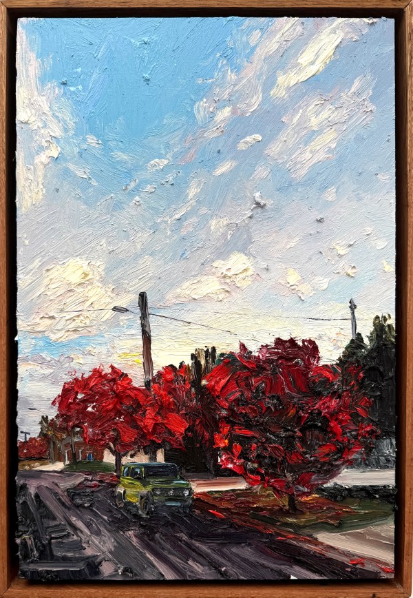 Late in the Day, Stewart St, Bathurst by James Lyle