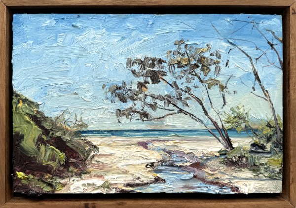 Morning Out of the Wind at Plumbago Beach by James Lyle