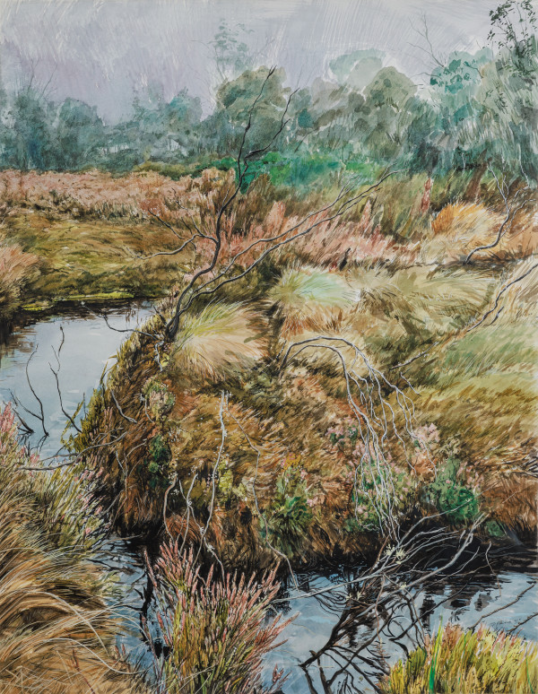 Silent transition by Phillip Edwards