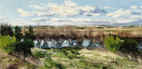 Sun after flooding rain by James Lyle