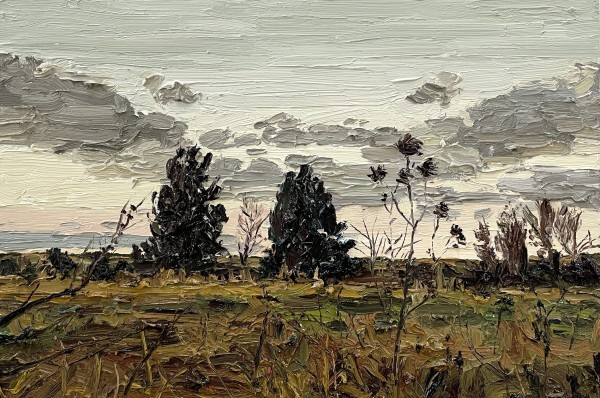 Swampy grasses and trees late in the day by James Lyle