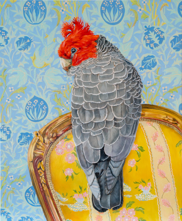 gang gang on Elmcote by Fiona Smith