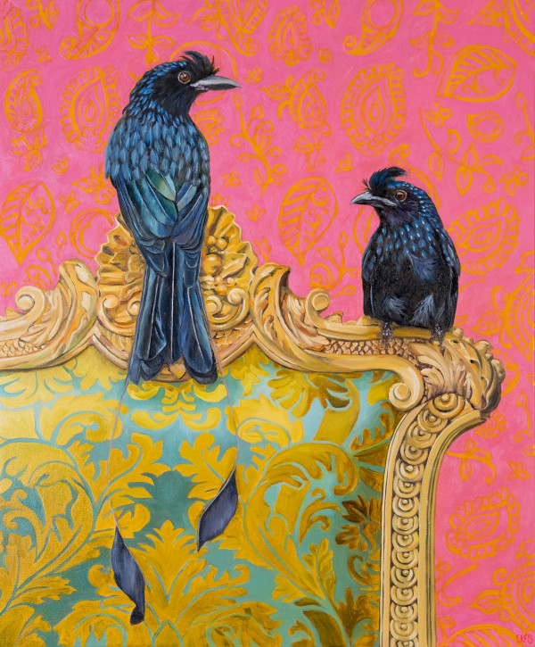 Duet - The Greater Racket‑tailed Drongo by Fiona Smith