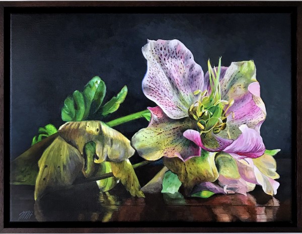 Winter Rose by Melissa Hartley