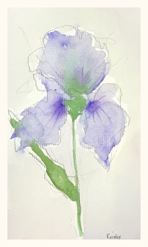 Royal Iris by Kristine Mosher Tarrow (Krinlox)
