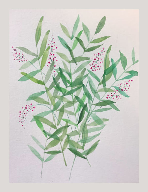 Little Berries by Kristine Mosher Tarrow (Krinlox)