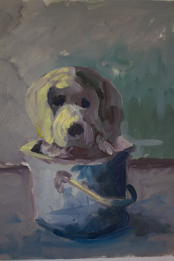Puppy in Pail by Roger Ewers