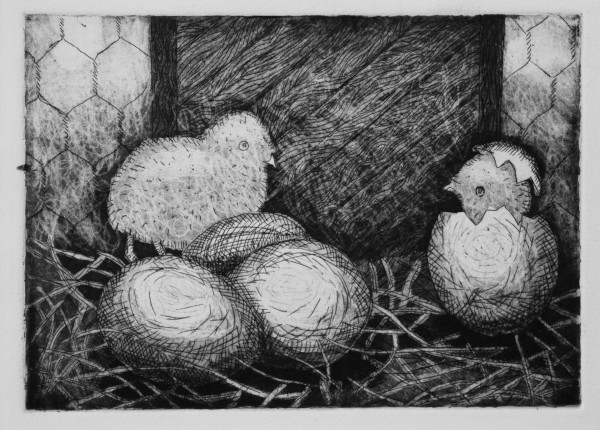 Hatching Chicks by Roger Ewers