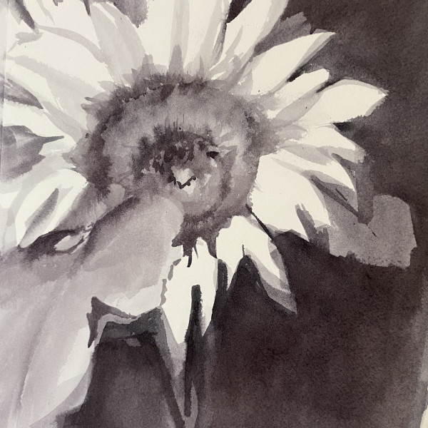 Sunflower BW - Flat File #3 by Tia Sunshine Art