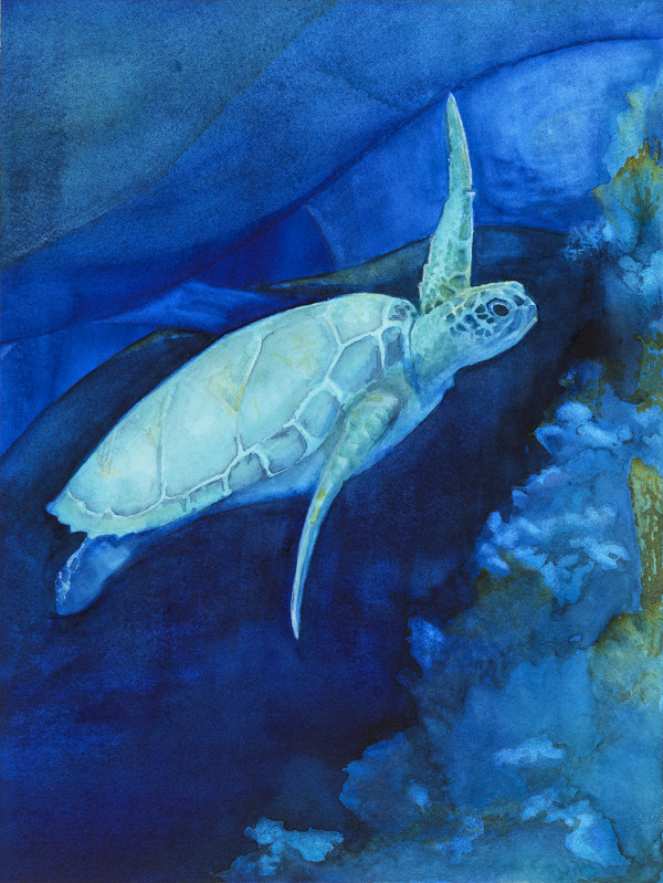 Turtle by Tia Sunshine Art
