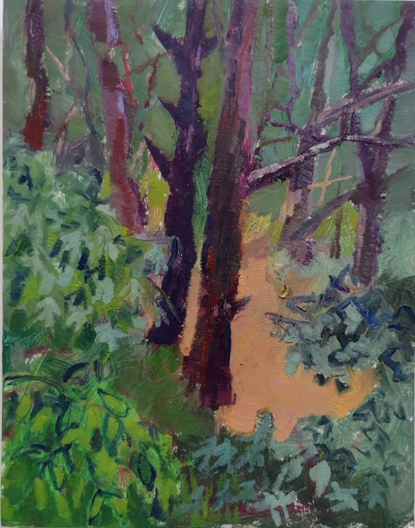 Pine Forest at Edgewood by Matt Carrano