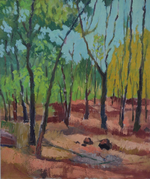 Untitled by Matt Carrano