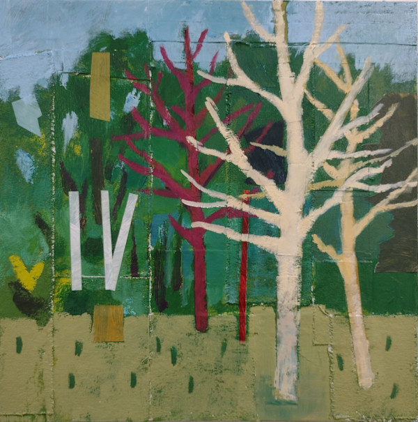 The Alphabet of Trees - Birches by Matt Carrano