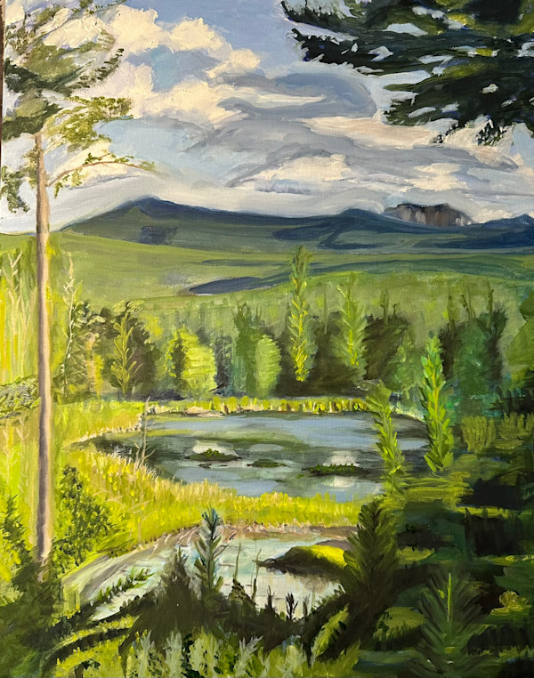 Adirondacks, toward Gothics by Lisa N. Peters