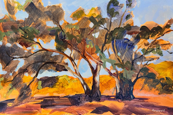 Flinders Range Gum Study by Kate Gradwell