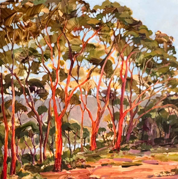 Summer Bark Fall by Kate Gradwell, Image 1.