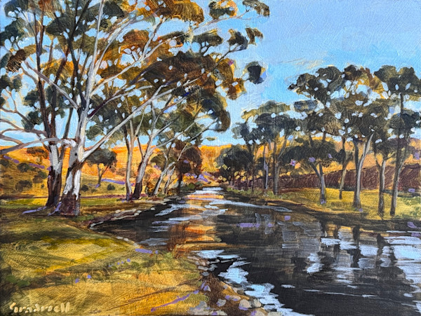Afternoon by the Goobarragandra by Kate Gradwell