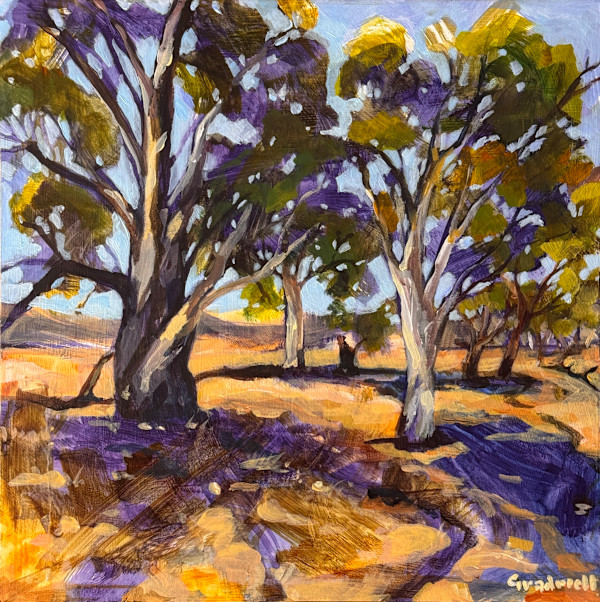 Flinders Gum Study by Kate Gradwell