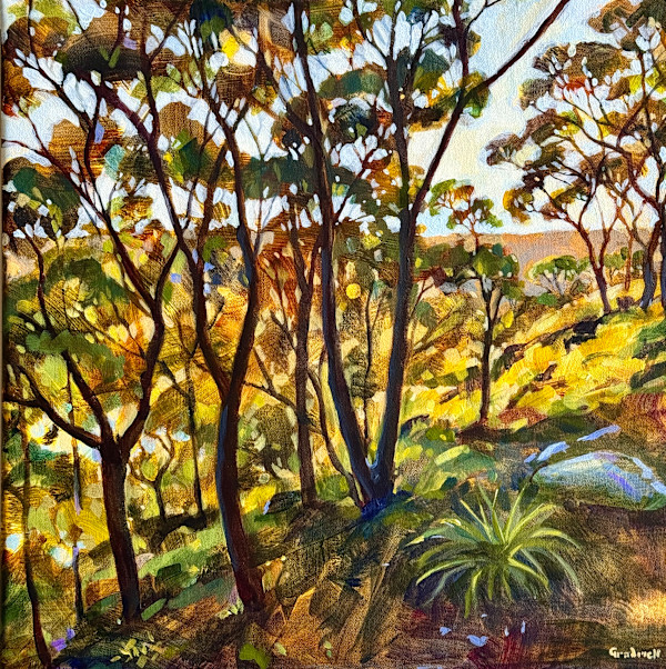 Evening Grace by Kate Gradwell