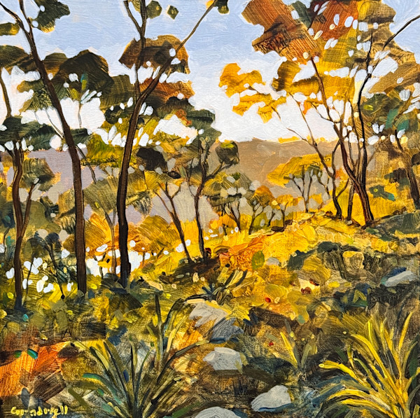 Daily Meditation by Kate Gradwell