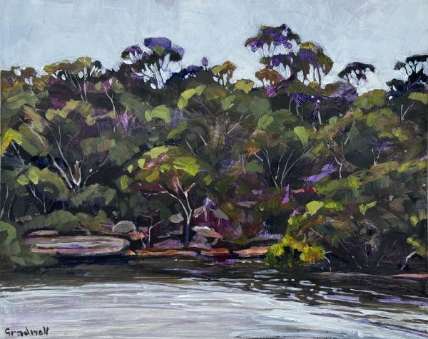 Saturday Morning by the Lane Cove River by Kate Gradwell