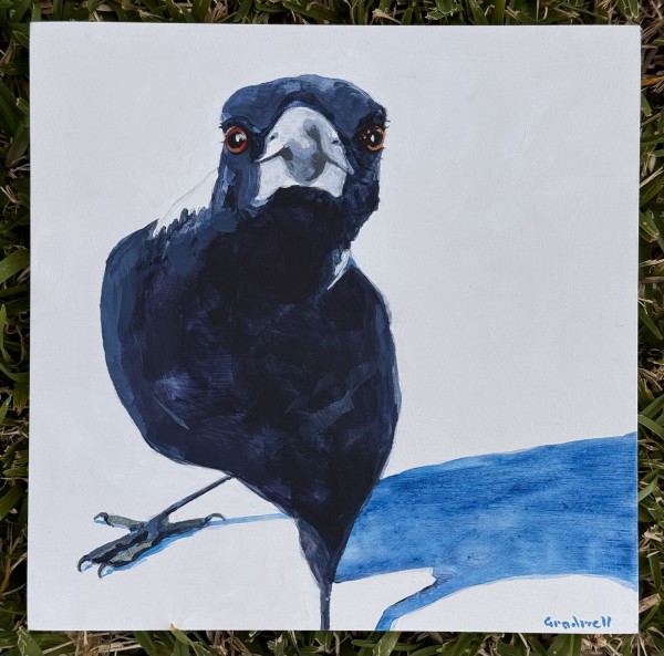 A Little Close For Comfort by Kate Gradwell
