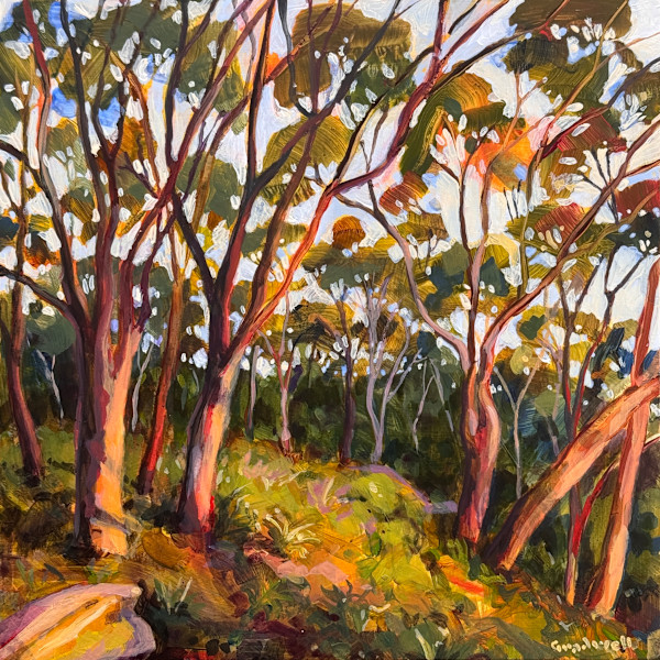 Bush Reverie by Kate Gradwell