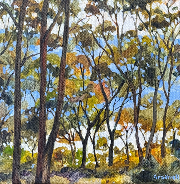 Whispering Trees, Dancing Reflections by Kate Gradwell