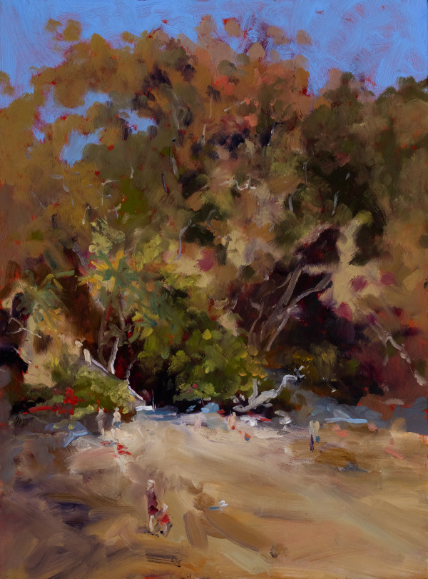 Little Cove, Noosa by Jason Hawkins