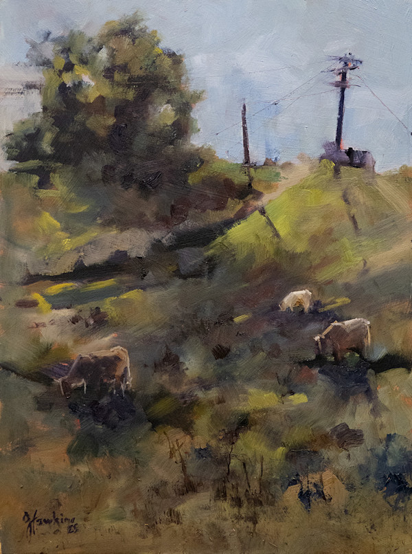 Down on the farm, Boonah by Jason Hawkins