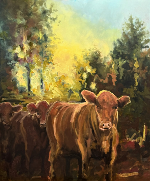 Boonah afternoon by Jason Hawkins