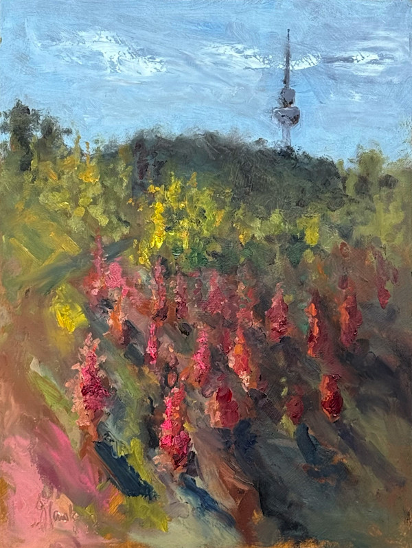 Arboretum Autumn Light by Jason Hawkins