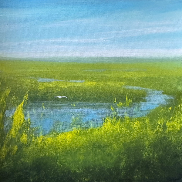 Gliding Through Life by Elizabeth Hasegawa Agresta