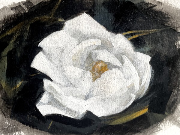 Magnolia I by Elizabeth Hasegawa Agresta