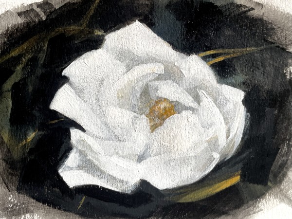 Magnolia by Elizabeth Hasegawa Agresta