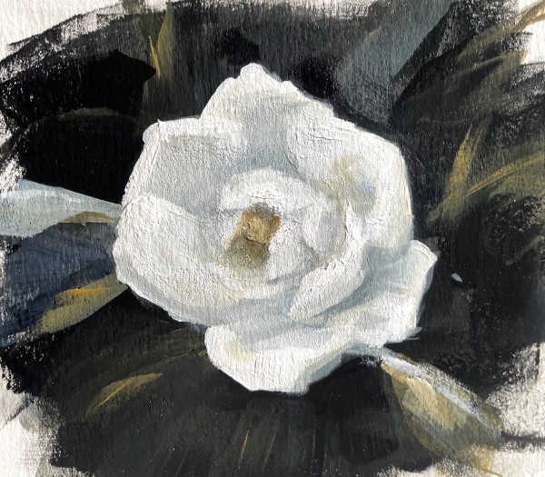 Magnolia II by Elizabeth Hasegawa Agresta