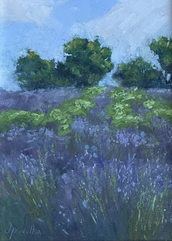 Lavender Hillside by Diane Pavelka