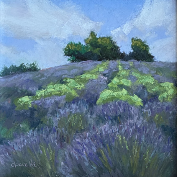 Lavender Hillside v2 by Diane Pavelka