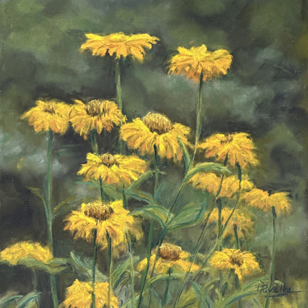 Summer Daisies by Diane Pavelka