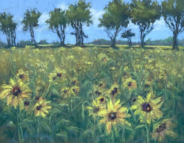 Sunflower Field by Diane Pavelka