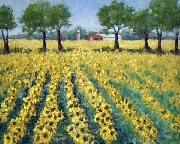 Sunflower Farm by Diane Pavelka