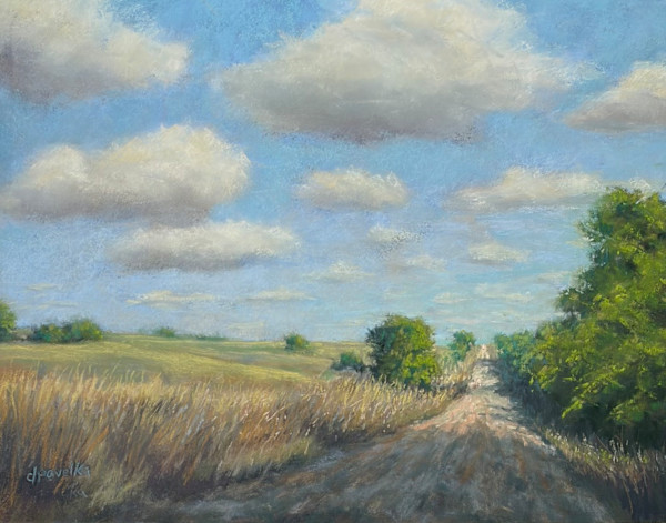 Summer on Mentor Road by Diane Pavelka, Image 1.