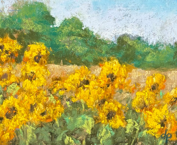 Sunlit Blooms by Diane Pavelka, Image 1.