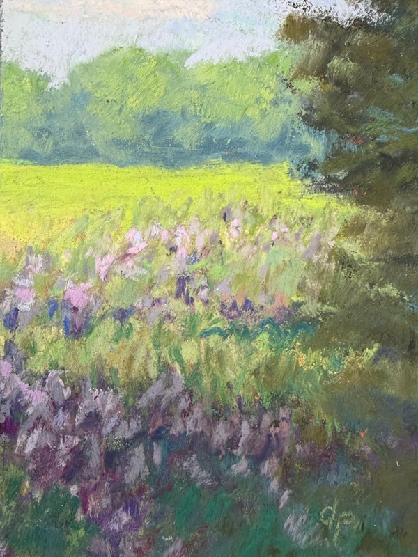 Meadow Glow by Diane Pavelka, Image 2.