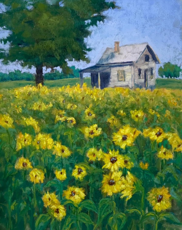 Ole Farmstead Sunflower Field by Diane Pavelka