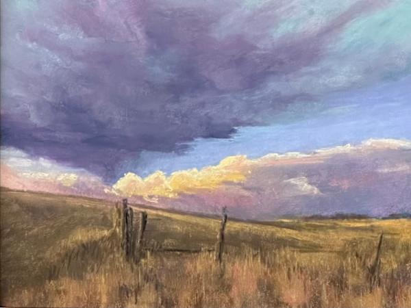 Beyond the Farm Gate by Diane Pavelka