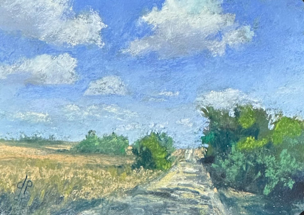 Country Road by Diane Pavelka