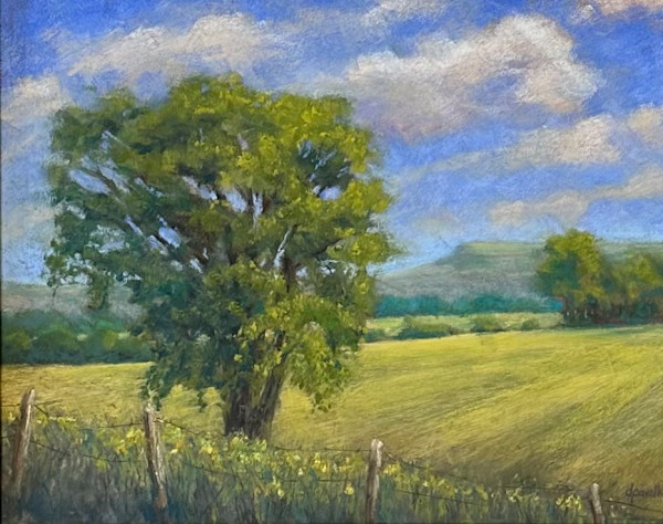 Fields Afar by Diane Pavelka