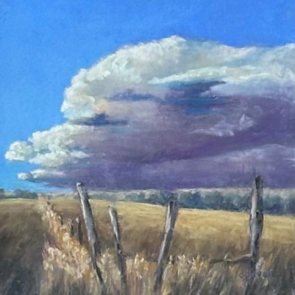 Storm to the Northeast by Diane Pavelka