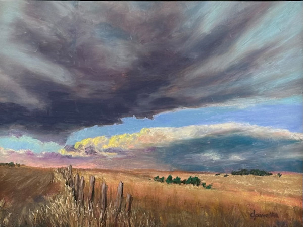 Beyond the Fence Line by Diane Pavelka